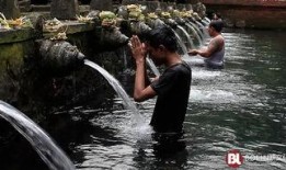 巴厘岛爆料截图视频