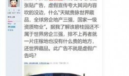 碧桂园最新事件爆料视频,揭秘背后真相与影响